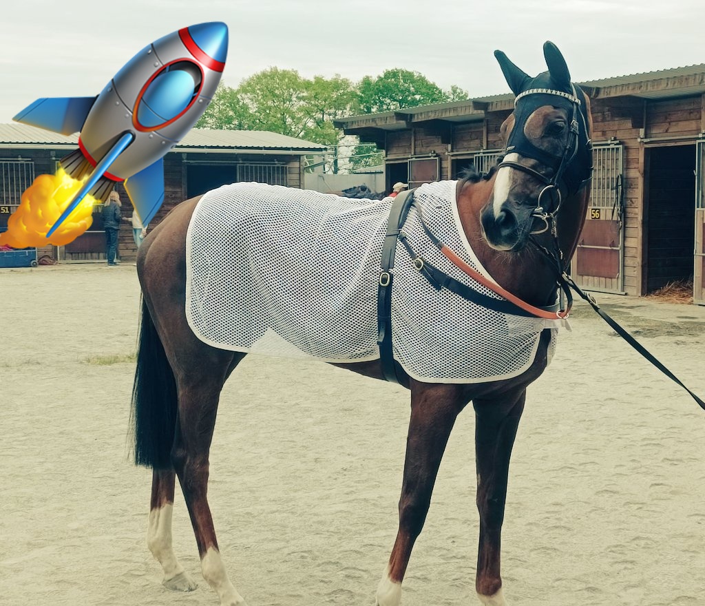 Journée de Gala demain à <a href="/paris_longchamp/">ParisLongchamp</a>, à l'occasion du prix Ganay, 1er groupe 1 de l'année 2025!

*Reine du risk* reste sur 2000m à l'occasion de la 8eme course.

Départ 18h10

Elle sera montée par <a href="/veron39958955/">veron</a>. Il faudra prendre un départ canon pour bien figurer🤞🤞