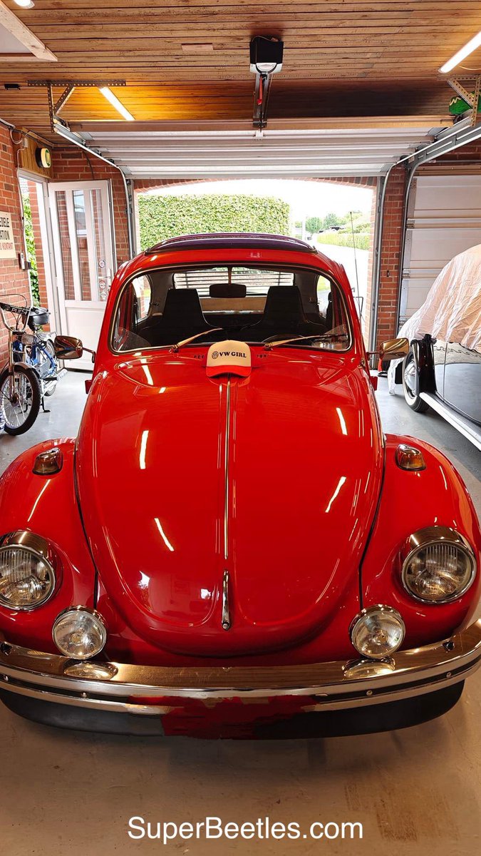 SuperBeetles.com tweet media