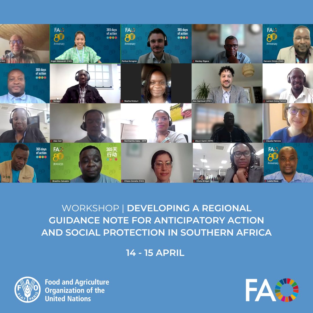 faosfsafrica's tweet photo. 🌍 The regional workshop shows a clear path forward: linking #AnticipatoryAction with #SocialProtection to build resilient agrifood systems in Southern Africa.

Acting early means protecting lives, livelihoods &amp; delivering support before crises unfold.

👉https://t.co/qXiu96Wg6C https://t.co/6Yg5MzGqXC