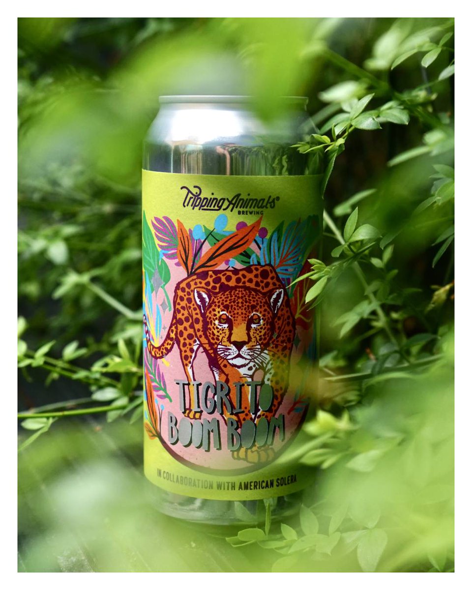 Beware, a tiger’s been spotted in our back garden...

It's 'Tigrito Boom Boom', a full on apricot, cherry, coconut, marshmallow &amp; vanilla Sour collaboration between the ever incredible Tripping Animals &amp; American Solera. Luuuuuuush!

shop.ghostwhalelondon.com