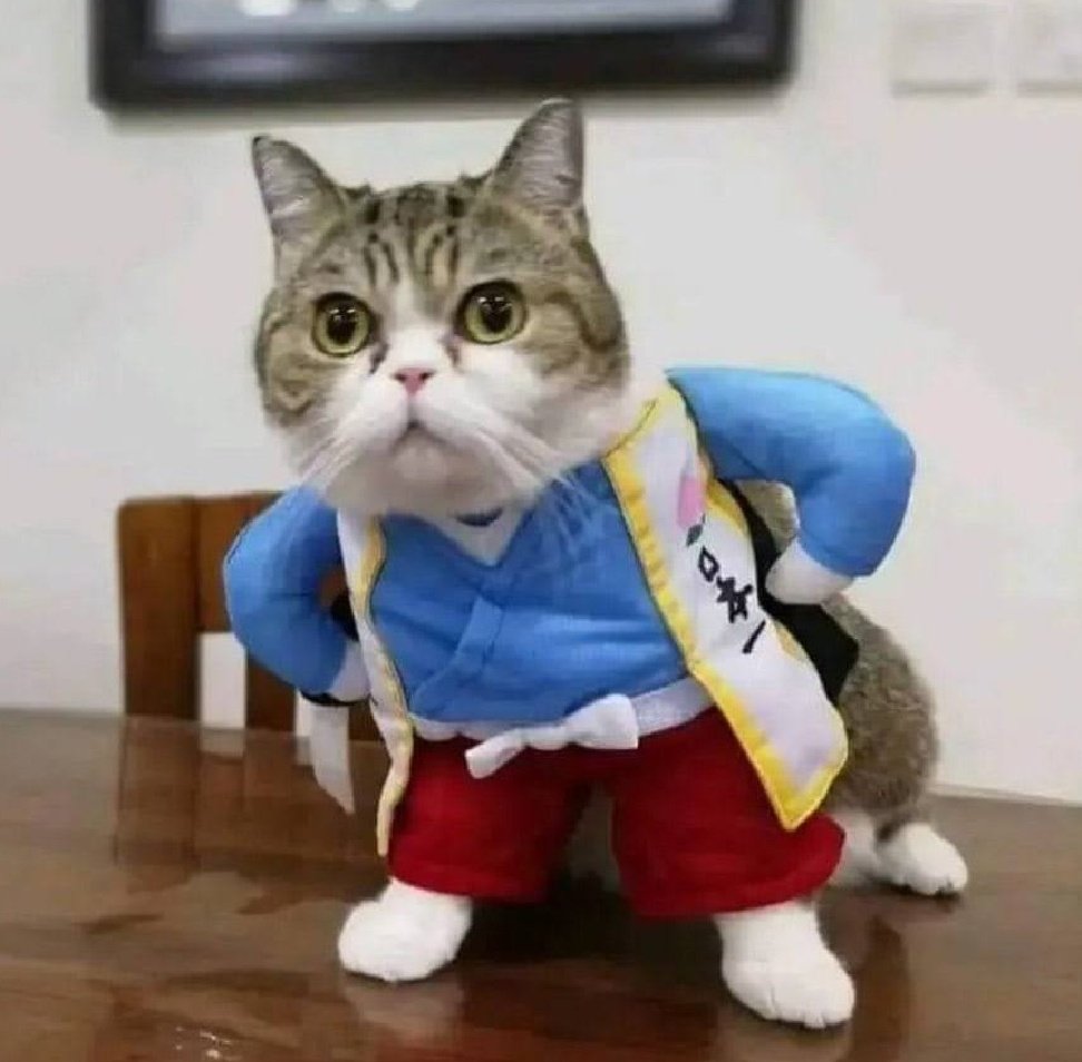 KingNey01's tweet image. Stop reposting ur own posts., Thats Masturbation 🤣