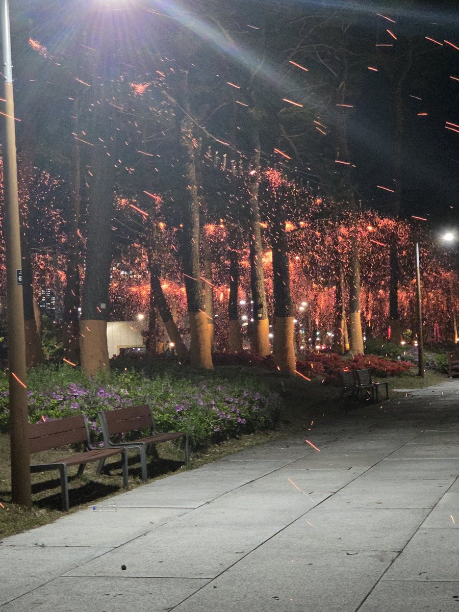 낙화축제 직접 보면 예쁘고 운치 있는데 찍는 솜씨가 엉망인지 무스타파 느낌이