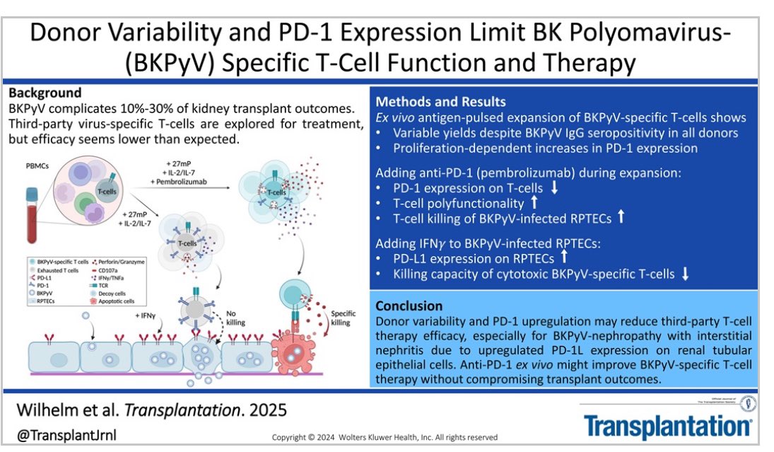 Important study - some space for conceptual and practical optimization, see
our recent results
DOI: 10.1097/TP.0000000000005399