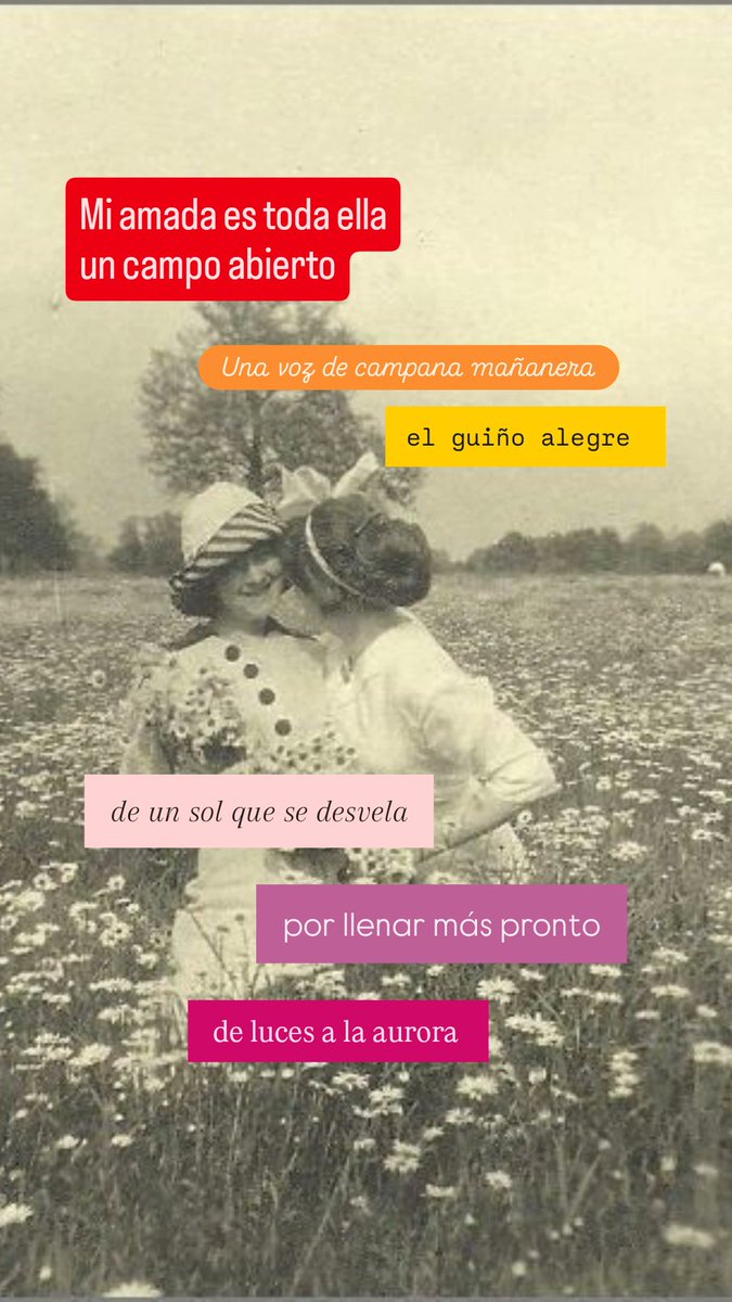 Feliz día tías 🩷

#LeamosAutoras 
#LeamosFeministas