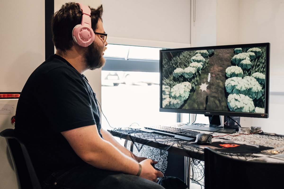 TVM studios - FOQUES 🦊 tweet media