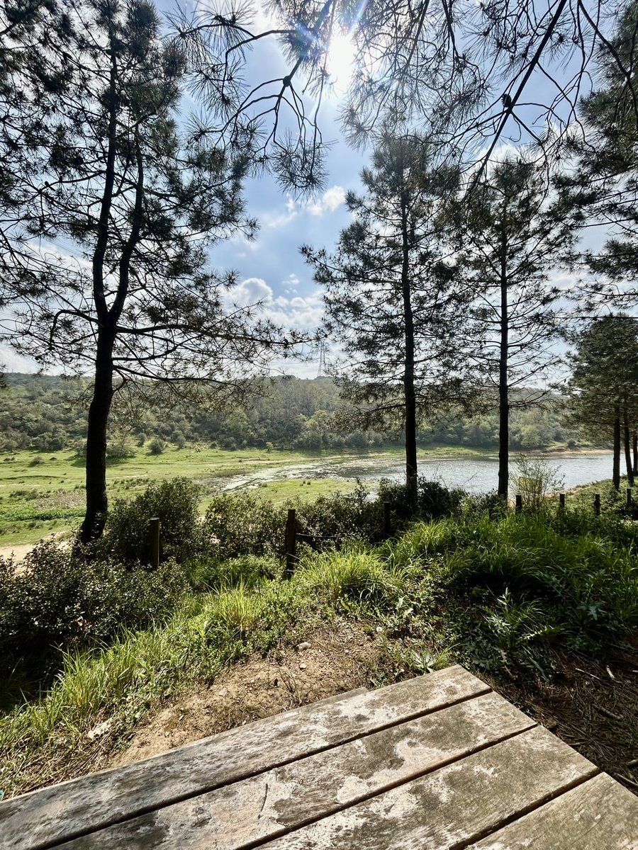 Doğa dump 🍃