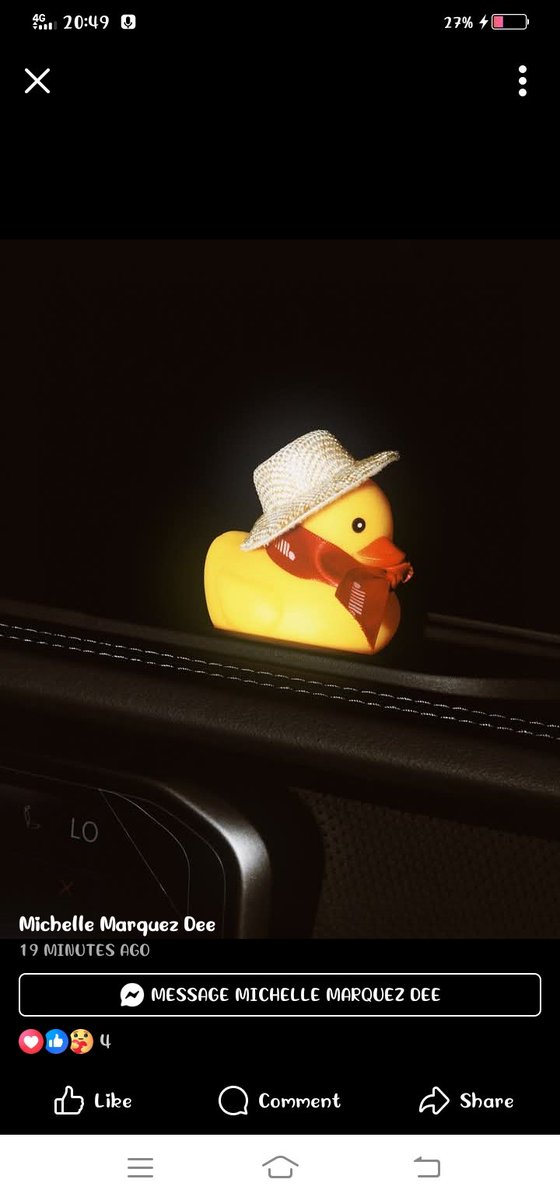 xadow25's tweet photo. One of the passenger on her jeep 🤭 https://t.co/8RfTy4PrmT