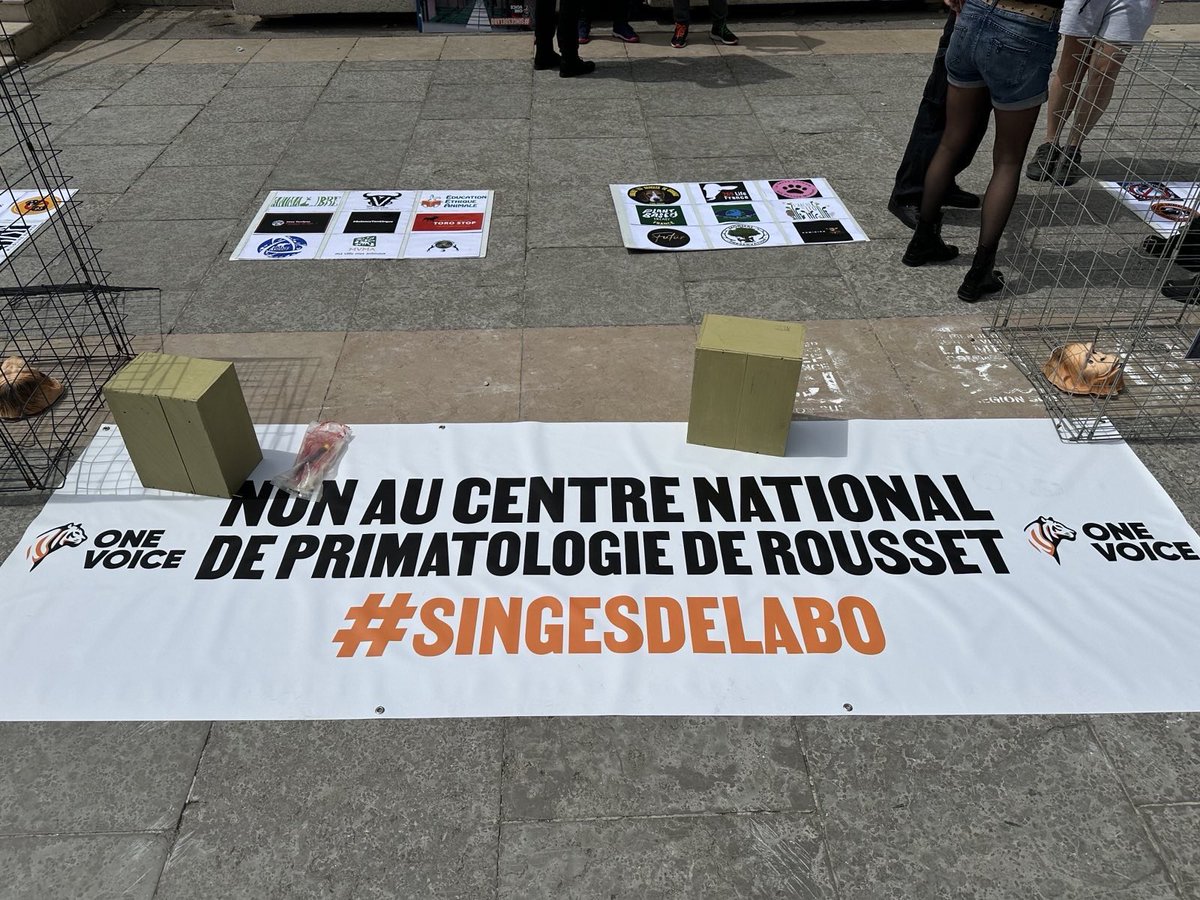 onevoiceanimal's tweet photo. En ce moment à Rousset, mobilisation contre le centre national de primatologie du @cnrs. #StopPrimatesRousset #SingesDeLabo #ExpérimentationAnimale https://t.co/LHBDdR1i4i