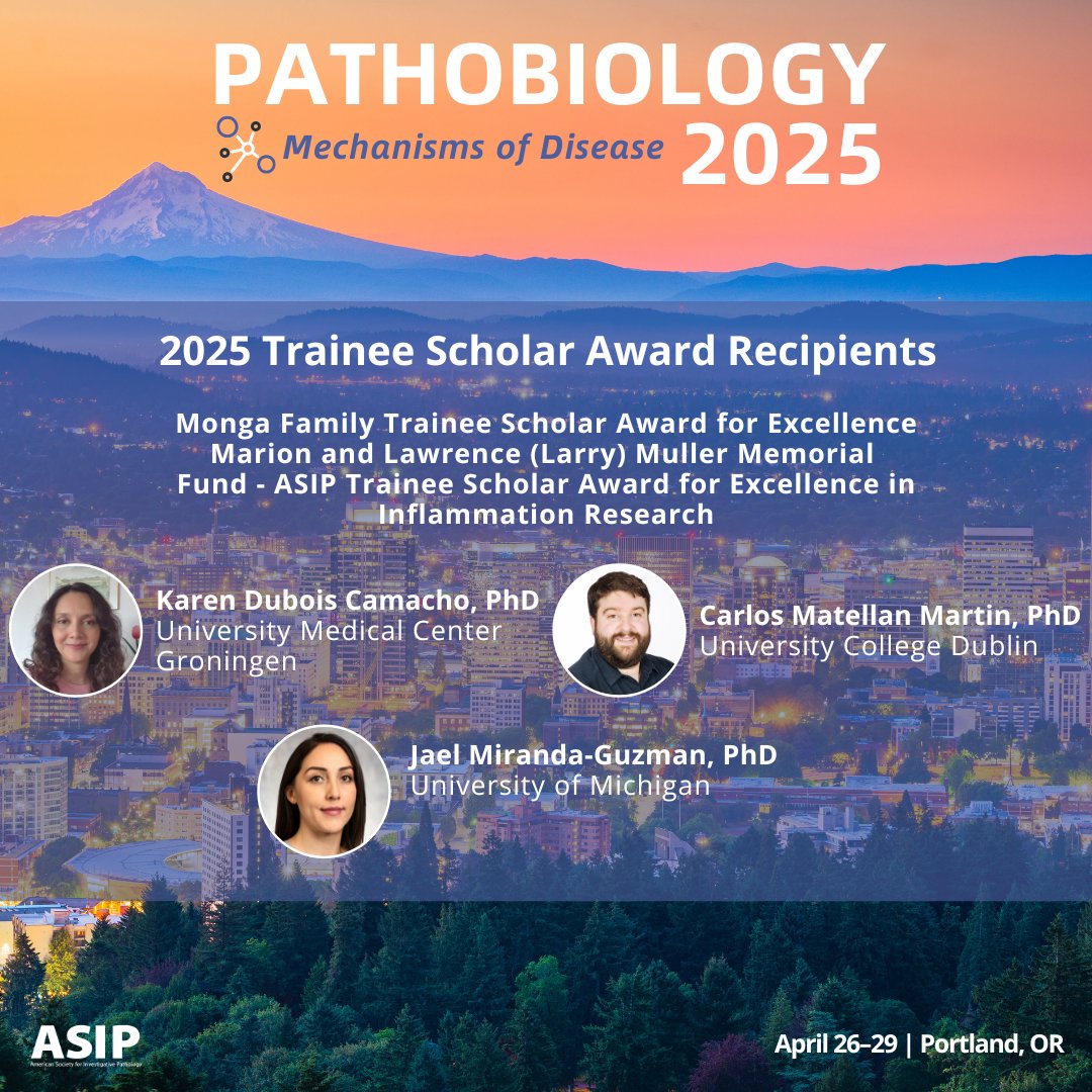 ASIPath's tweet photo. Congratulations to these #Pathobiology2025 Trainee Scholar Award Recipients! 👏 #ASIP2025 https://t.co/WHkMpb3u3I