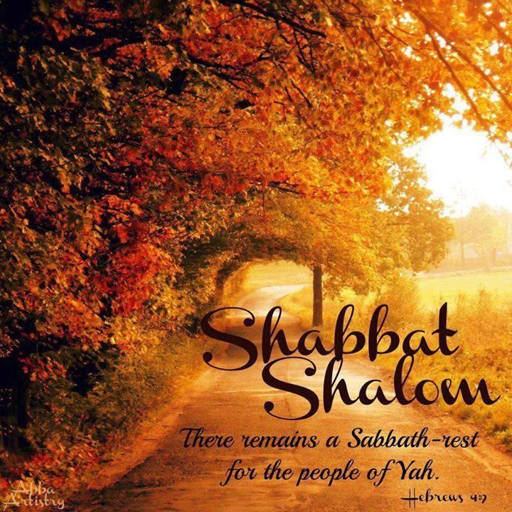 Shabbat Shalom family in Messiah Yahushua.  May YAH TMH bless y’all with wisdom and endurance. 🕎🙂❤️

“Here is the endurance of the set-apart ones, here are those guarding the commands of Elohim AND the belief of יהושע.” (Rev 14:12, TS2009)
