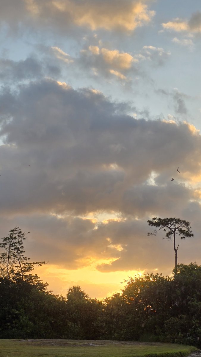 roto's tweet image. Good morning #WPB 🌅

#sunrise 04/26/25
