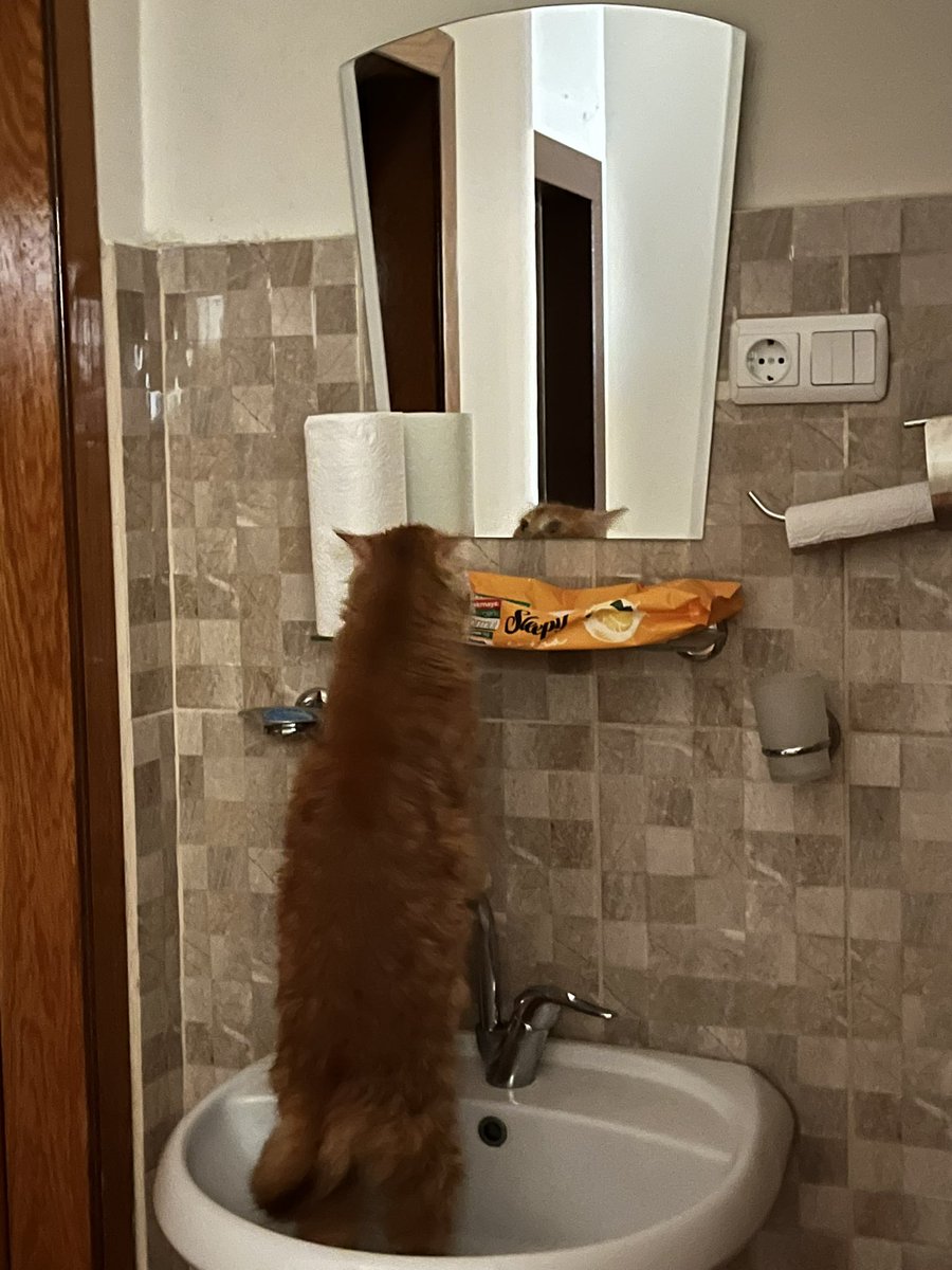 Sabak rutini ularaktan aynada kemdimi islebek...