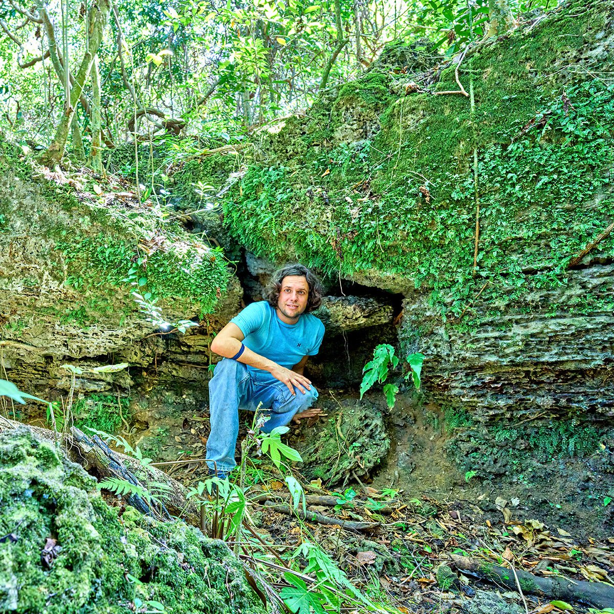 Found in the 305!

Did you know that DERM's Environmentally Endangered Lands include geological marvels such as caves? To learn more about #MiamiDadeEEL click here: spr.ly/60142cZ5r