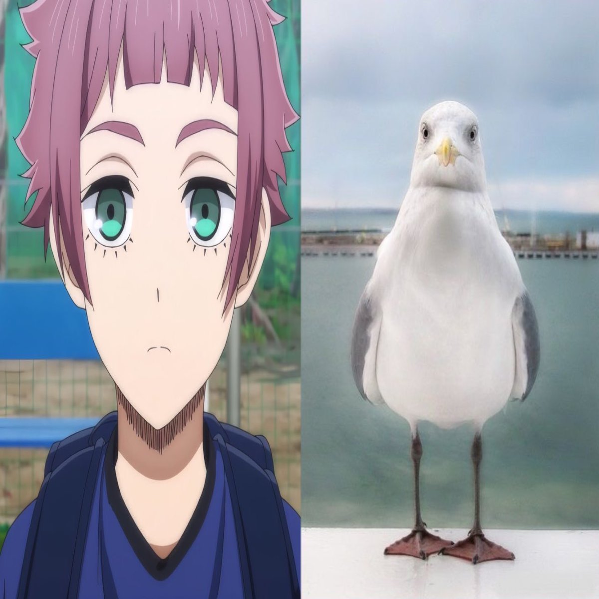 nuttychanny's tweet image. theres no difference bruh