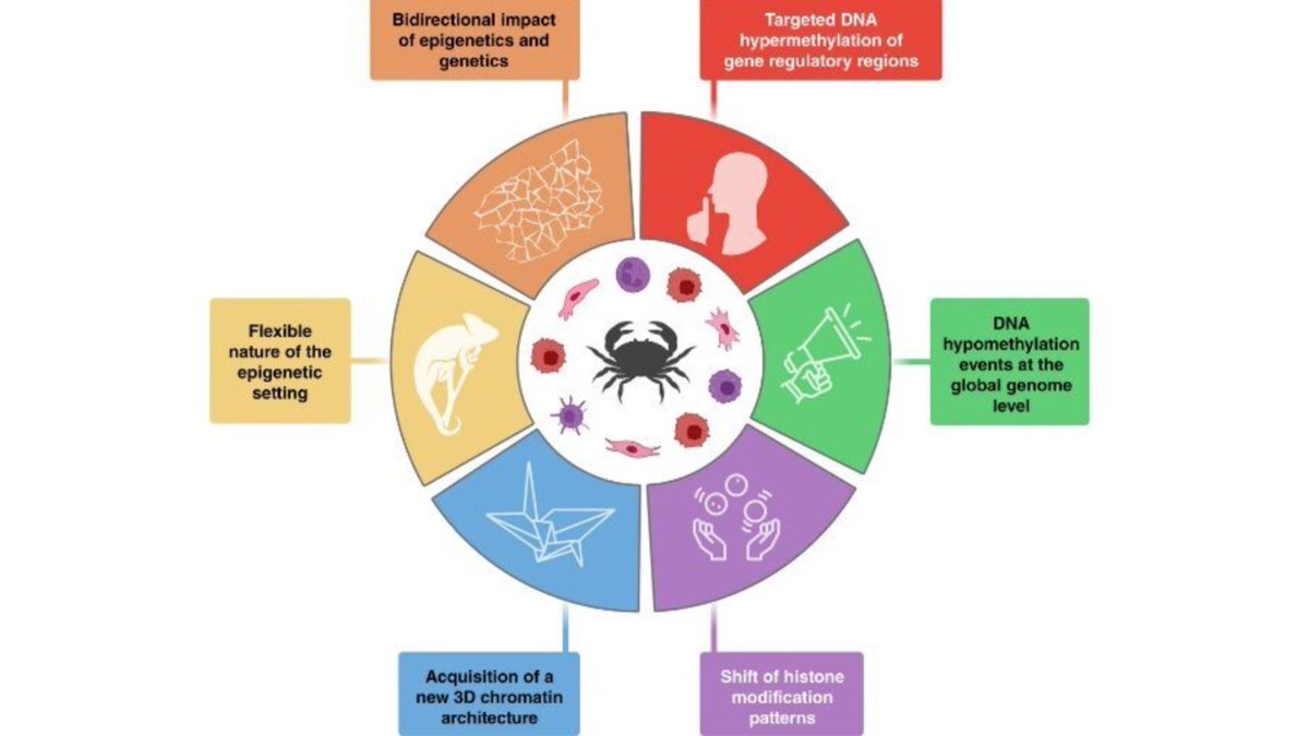 Chairperson <a href="/ManelEsteller/">Manel Esteller</a> is discussing the Epigenetic Hallmarks of Cancer now at the #AACR25 Education Session on the Evolution of Cancer Hallmarks - read the landmark review: brnw.ch/21wSeP3
