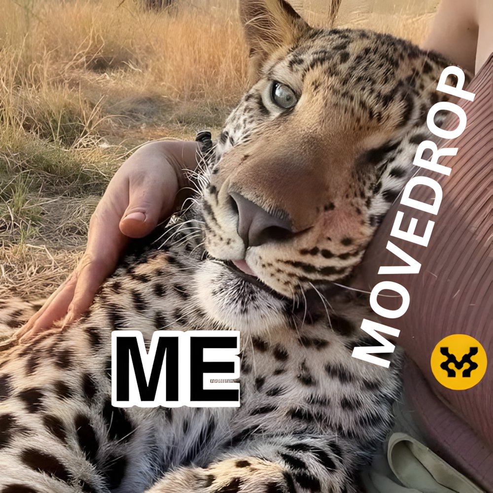 BlockBeaconn's tweet photo. The vibe between me and MoveDrop is something special. 🤣😂😅😍

@movementlabsxyz @BehemothBtc @Jules20O0 @mer_q_tio @coopsmoves @GorillaLevo @gorilla_leon https://t.co/6Choc4hYqP