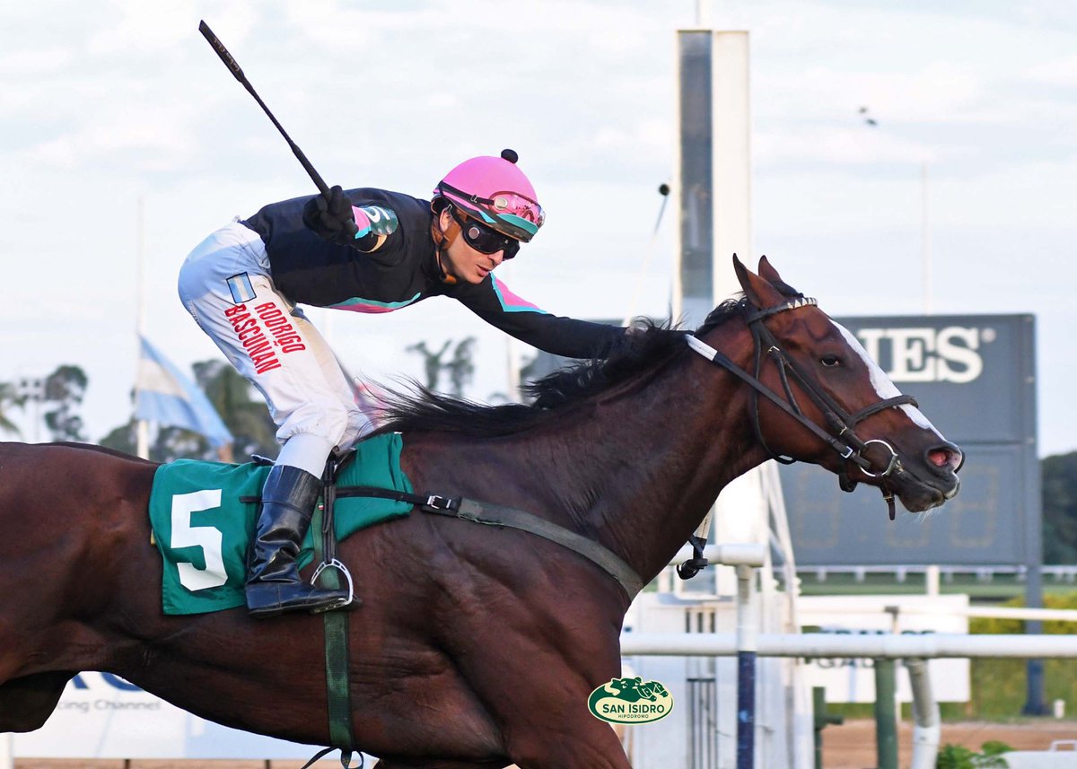 Se podría decir que De Galera es una sucursal de Firmamento, pues es en lo de Bagó donde Raúl Fabricio compra todos sus caballos.
Es el caso de The Great Wells, adquirido al 50 % y ganador del clásico José B. Zubiaurre
#turf #papa #roma #Deguima
⤵️ blogger.com/blog/post/edit…