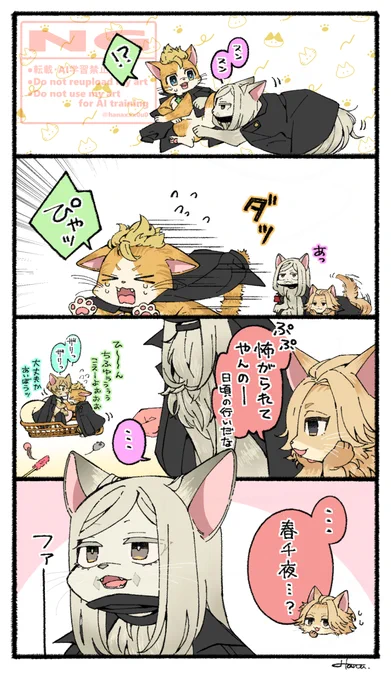 🐱🐱🐱🐱 