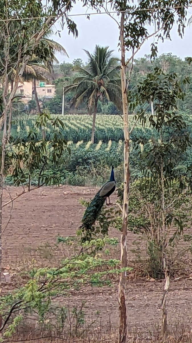 📊 Rajesh Bhattad | theRevOpsGuy tweet media