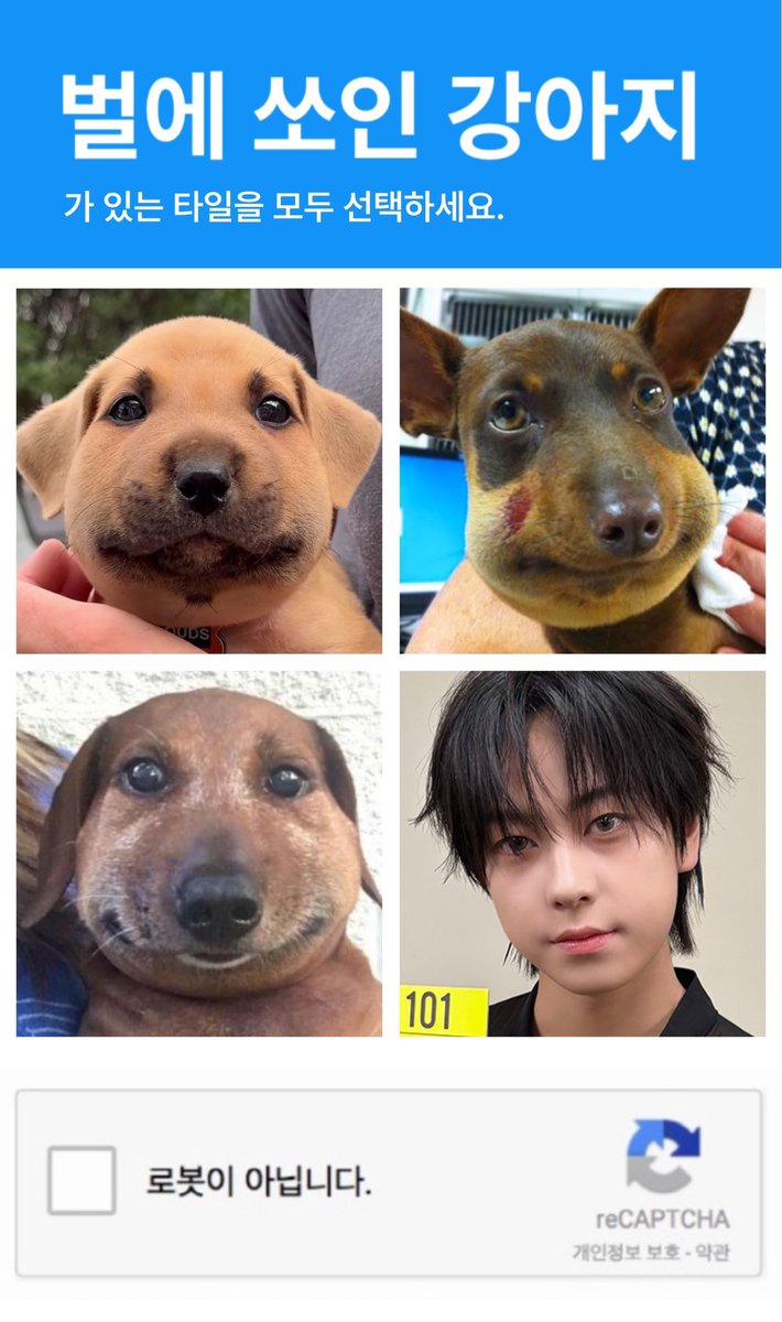 벌에 쏘인 강아지가 있는 타일을 모두 선택하세요.
