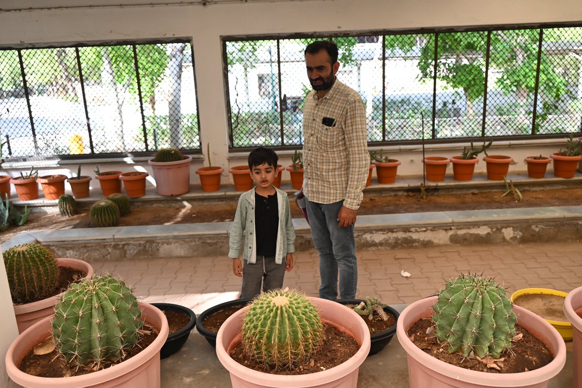 GujScienceCity's tweet photo. ગુજરાત સાયન્સ સિટીના લાઇફ સાયન્સ પાર્કમાં પ્રકૃતિના કરિશ્માની જીવંત ઝાંખી માણો — જ્યાં વિજ્ઞાન અને હરિયાળીનો સંગમ જોવા મળે છે! #NatureJourney #LifeSciencePark #ExploreScience #GreenWonders #ScienceCityAhmedabad
#ChaloScienceCity @PMOIndia @indiadst @CMOGuj @dstgujarat @InfoGujarat @drvrajesh