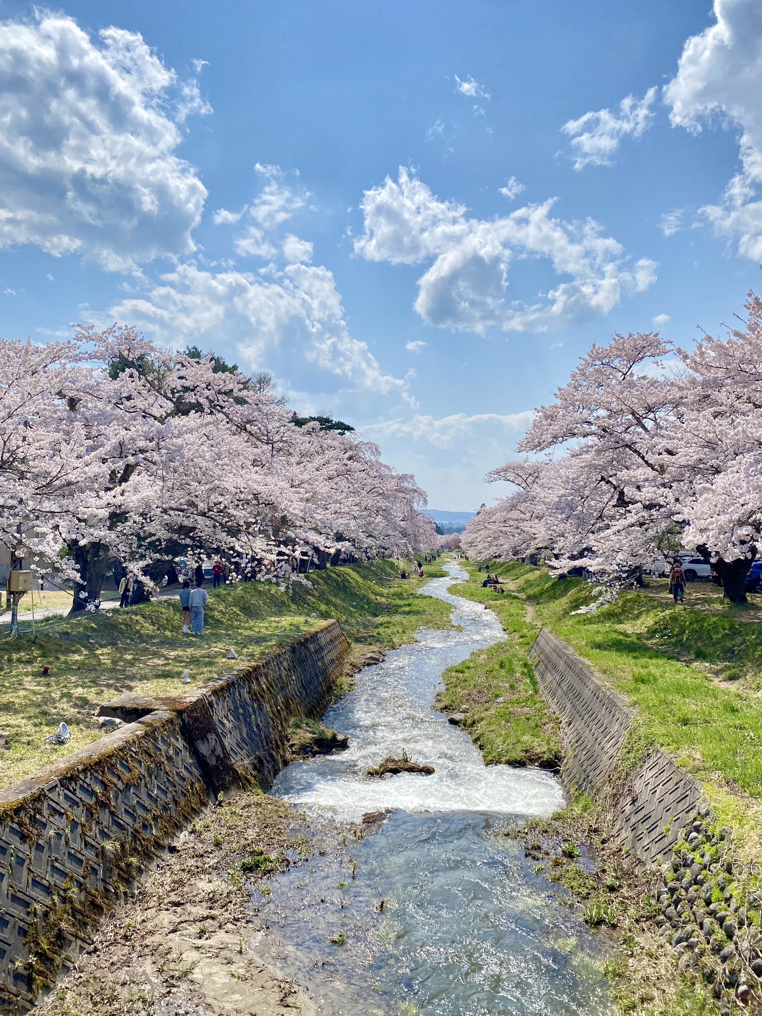 花畑 はなまっぷ🌸日本の美しい花風景 | 🌸はなまっぷ🌸 * @makoty39
