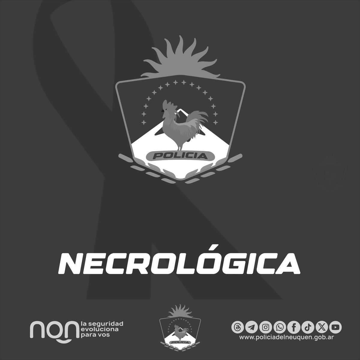 𝗝𝗢𝗦𝗘 𝗧𝗢𝗥𝗥𝗘𝗦 (𝗤.𝗘.𝗣.𝗗.)
facebook.com/share/p/157KPw…