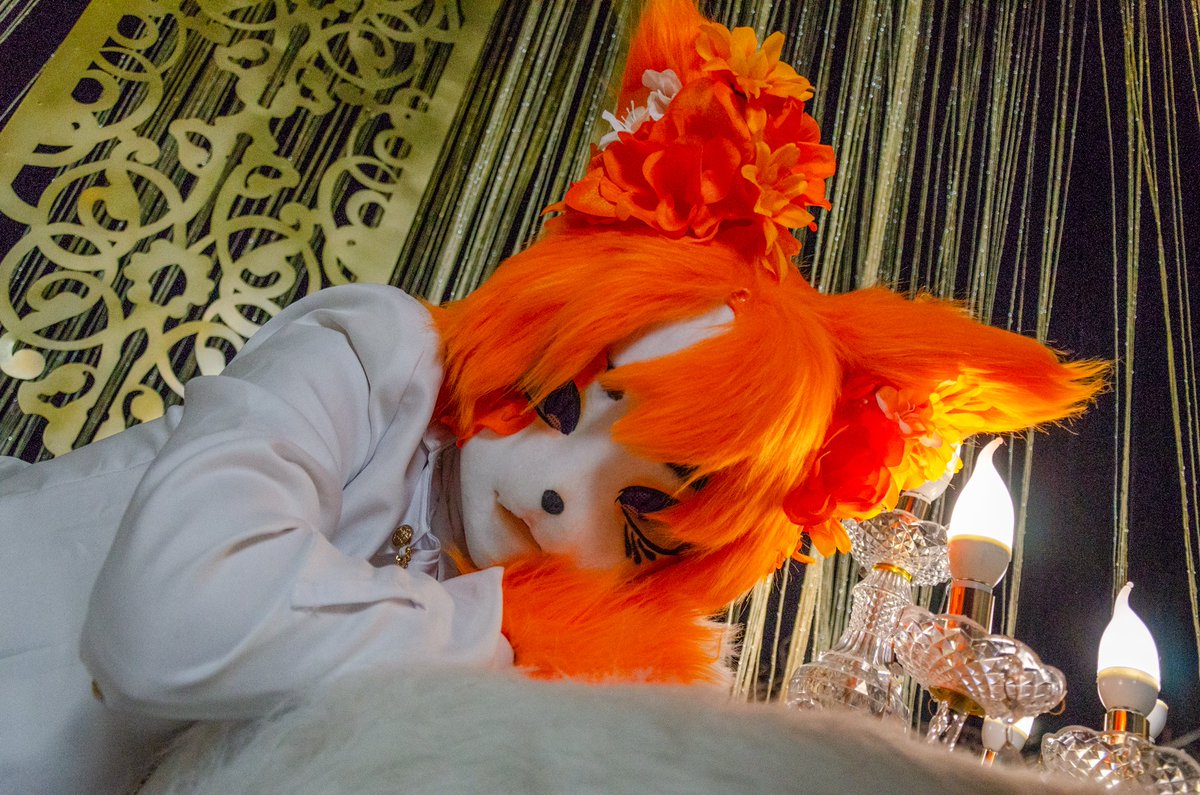 #FursuitEveryday #Fursuit
어딜 보는 거니, 나를 봐야지.

📸매실님 <a href="/maesil368661/">매실(반동결❄️)</a>