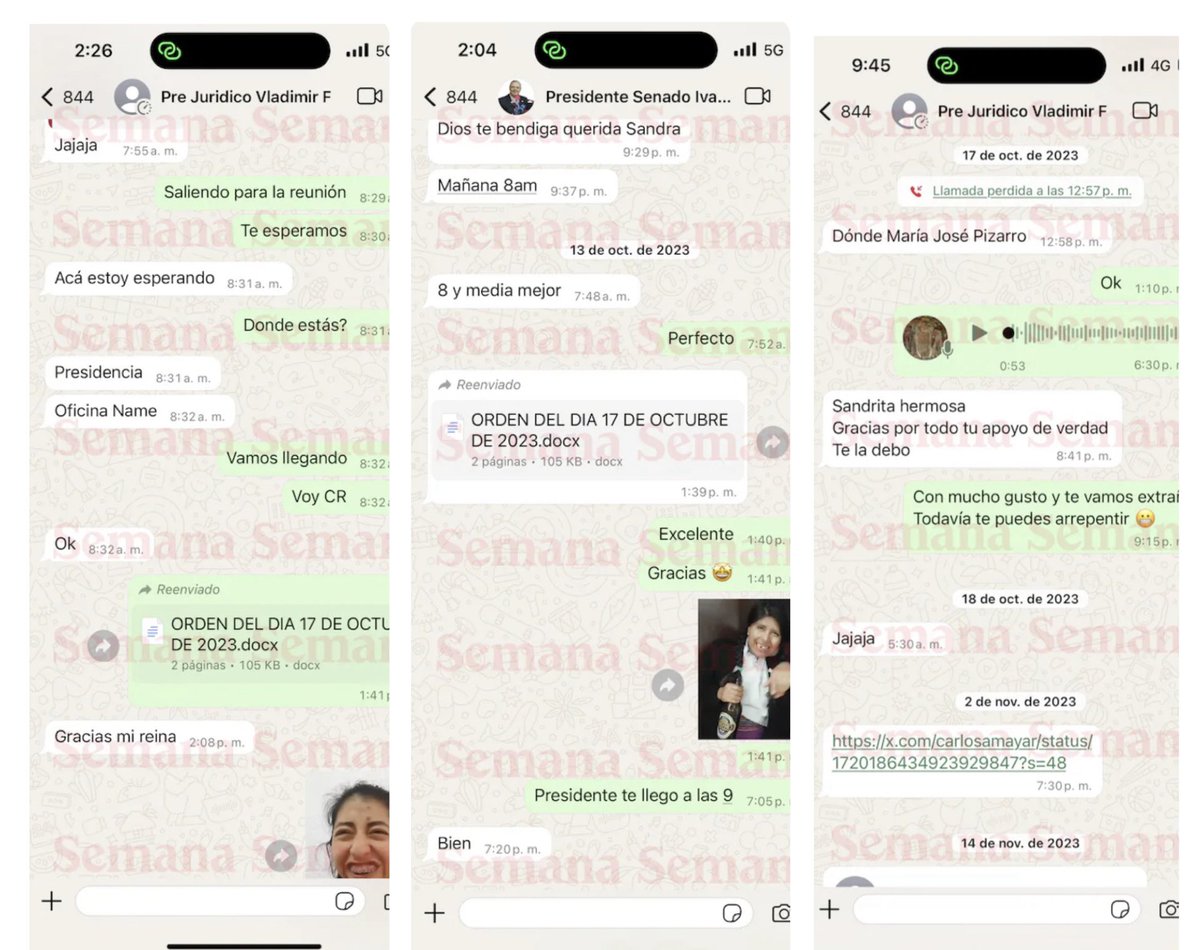 Liliana Castaño tweet media