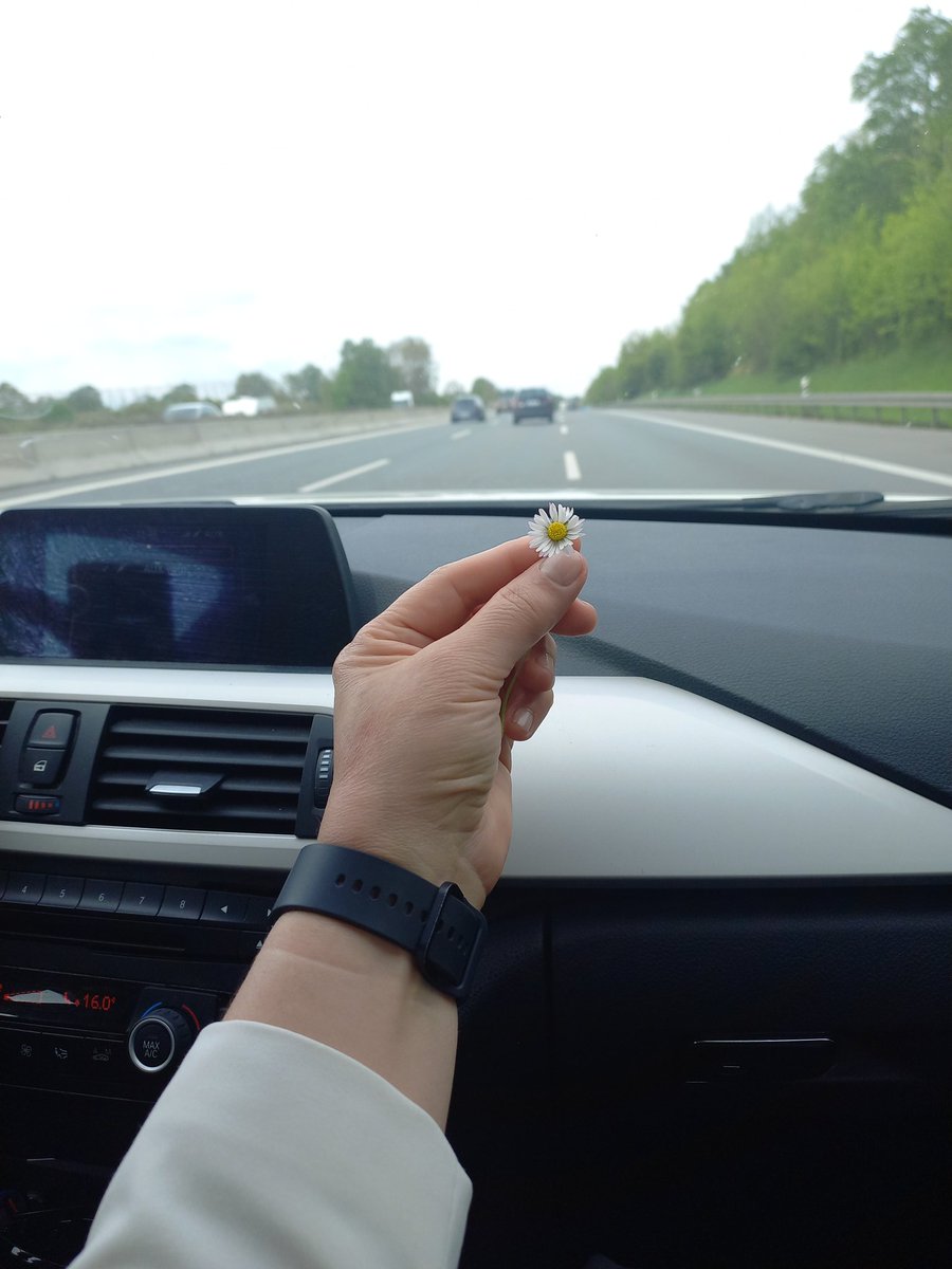 Di bêdengiyê de straneke bêdawî distirêm ji te re kulîlkê
Her şad û bextewar be di dilê axê de
Tiliyên min şahidiya tirsa te ya veşartî dikin
Diparêzim tovê te di nava xewnên xwe de...