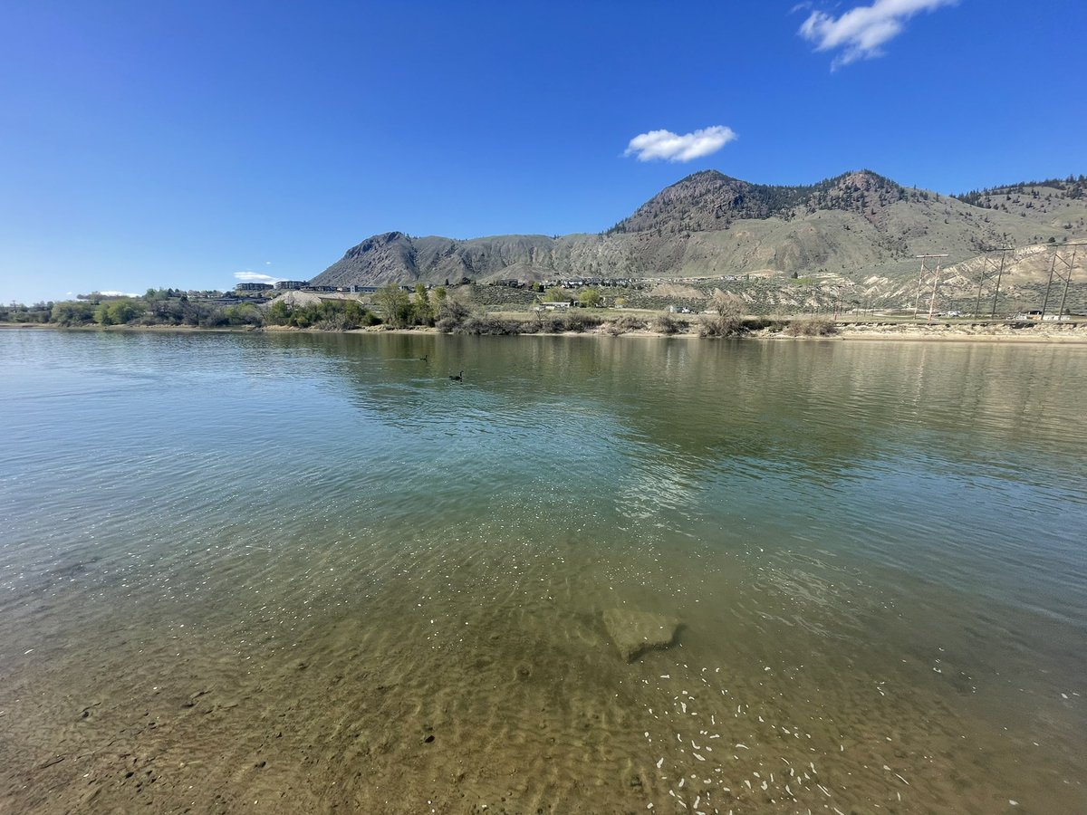 ☀️Good Morning SAINTS ! ☀️Saturdays are for  recharging 🪫🪫🪫
Stepping out into the beauty of nature to ground and balance my mind and body……. ☯️☯️
Make sure to get out and touch grass today ! 🪻🥀🌻🌷🌺💐🌸🌹
Finding the calm in the chaos can be tough 💪💪
Where is your go to