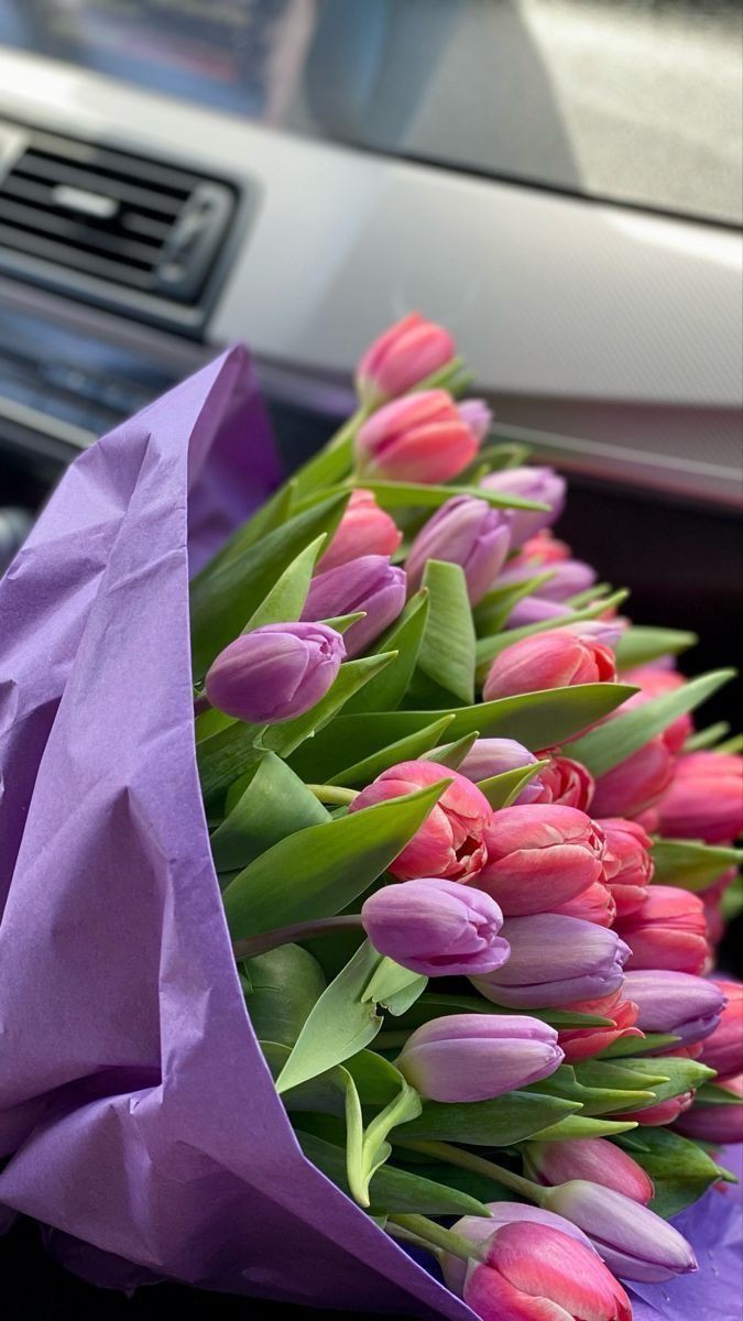 nothingmoment_'s tweet image. 