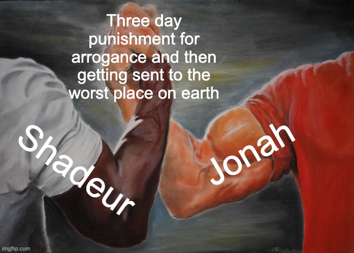 Hans Fiene 🦬 (@hansfiene) on Twitter photo 