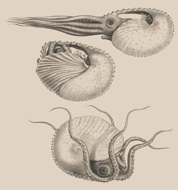 Samuel Eryops tweet media