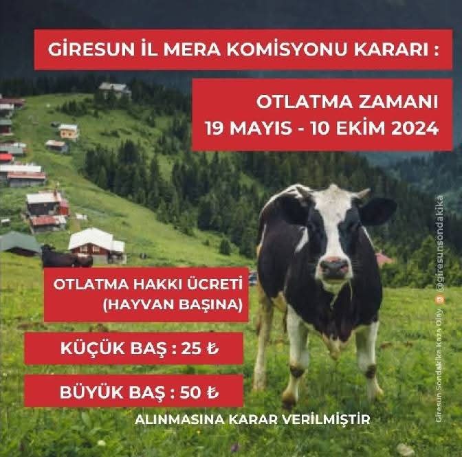 Başıboş köpeklerin sokaklarda ve barınaklarda beslenmesi için kamu kaynaklarından milyonlarca liralık yem alanlar, İneğin koyunun yerden bitme otu yemesi için ücret tarifesi mi belirlemiş? 

<a href="/giresuntarim/">Giresun İl Tarım ve Orman Müdürlüğü</a> <a href="/TC_giresun/">T.C. Giresun Valiliği</a> @GiresunDkmp