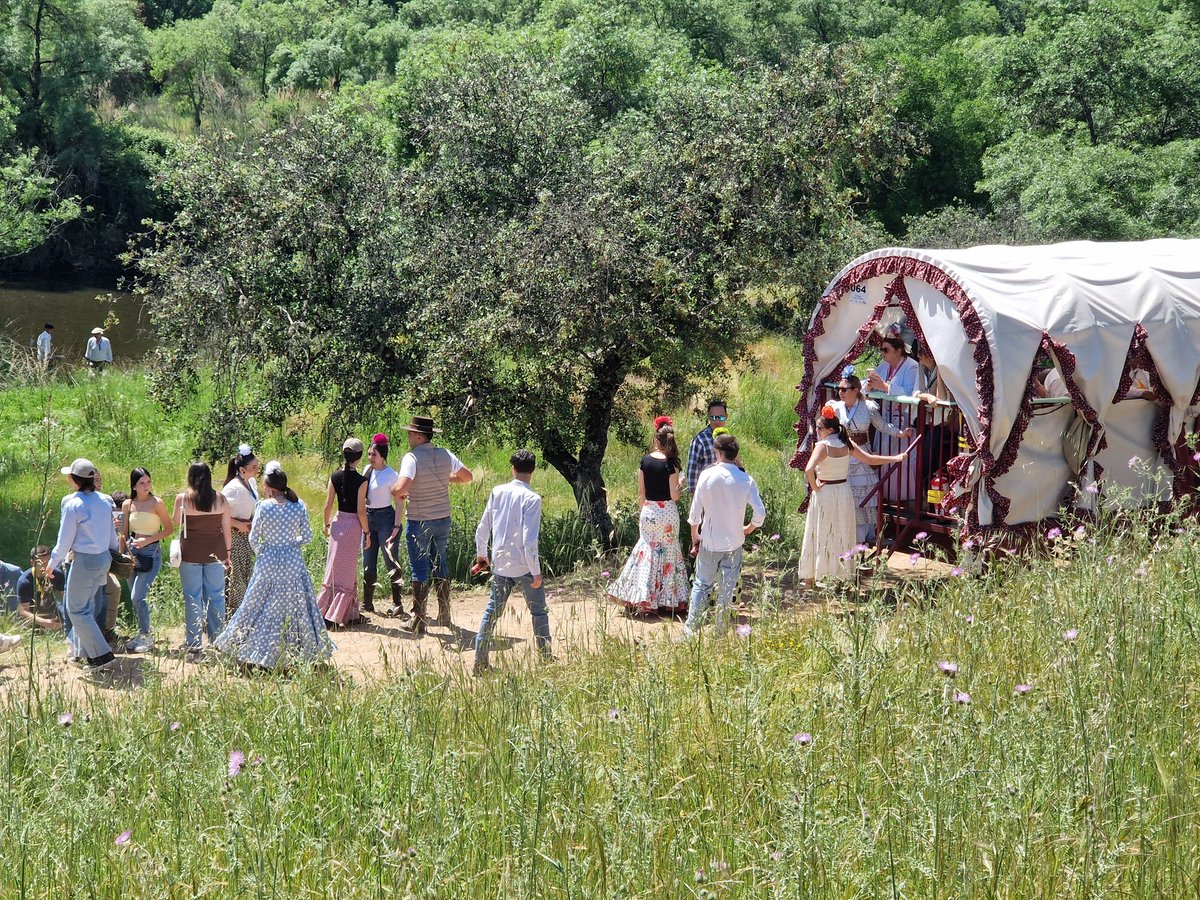 HoraJaen's tweet photo. #ESTÁPASANDO | Imágenes de las carretas romeras, por el "Lugar Nuevo", en la Romería de la Virgen de la Cabeza de Andújar
@aytoandujar #lugarnuevo #Andújar #Romería #carretas #romeros #lamorenita #virgendelacabeza https://t.co/YAypGarClH