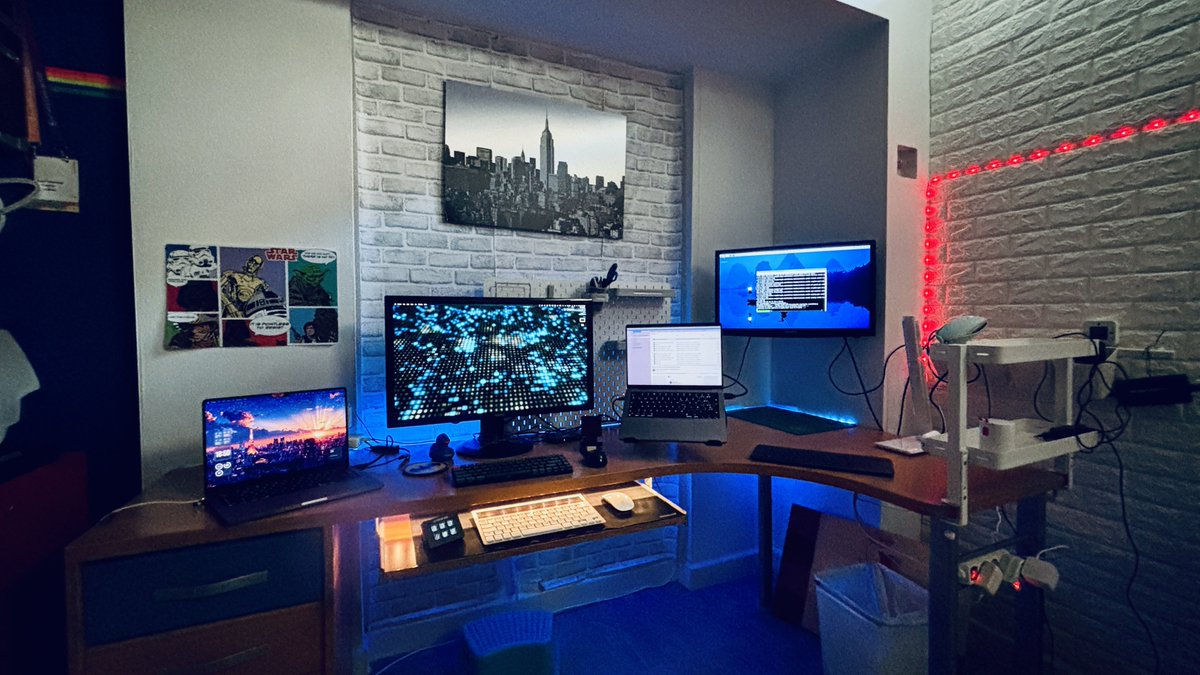 The spring/summer setup in my basement is ready! 😻