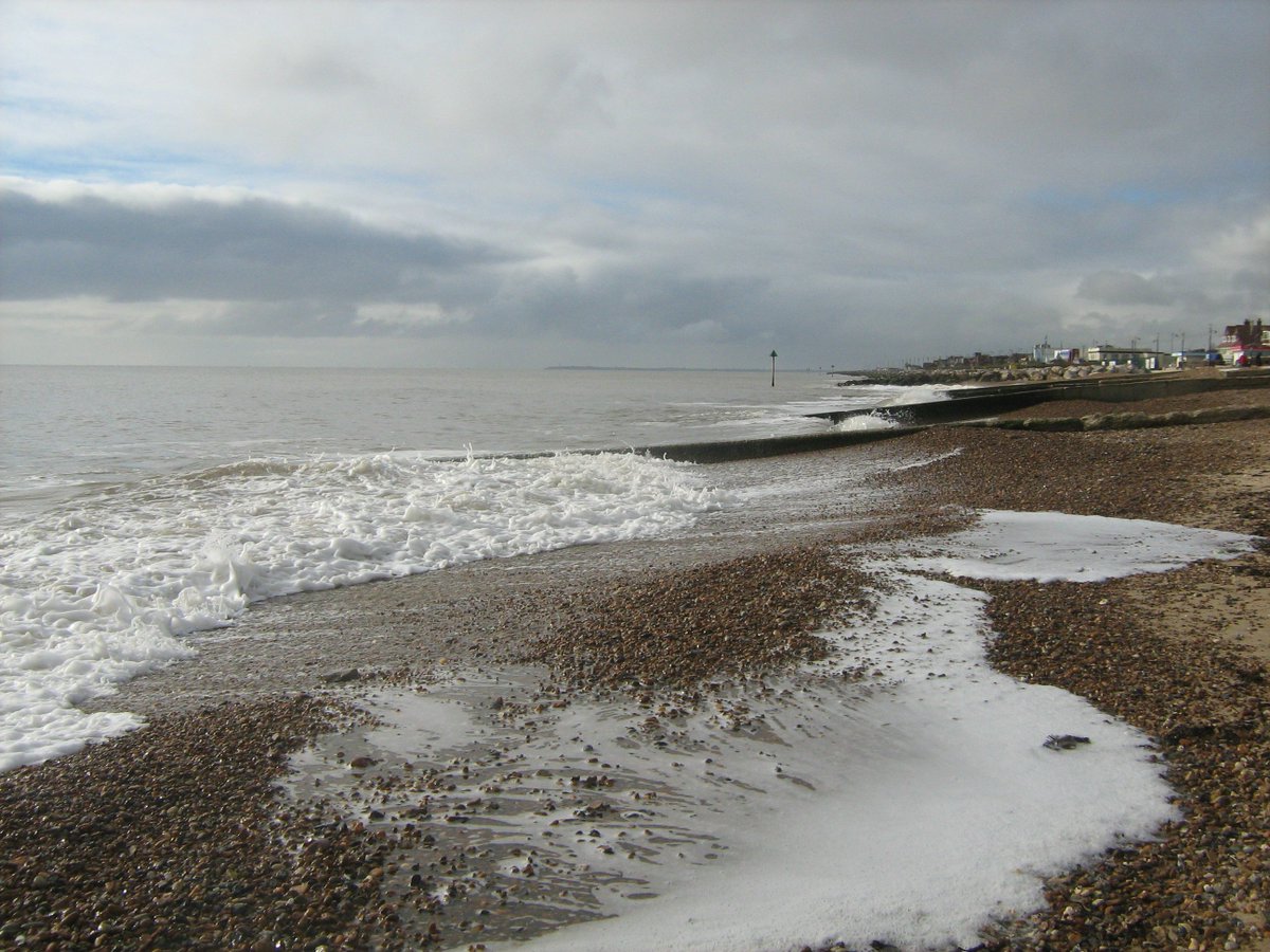 jonnyald's tweet photo. down on Felixstowe beach #sandcastles #seadog #beachgoers #shingle #crunching #sounds #lifesgreat #suffolk #coast https://t.co/NW6b67fu7D
