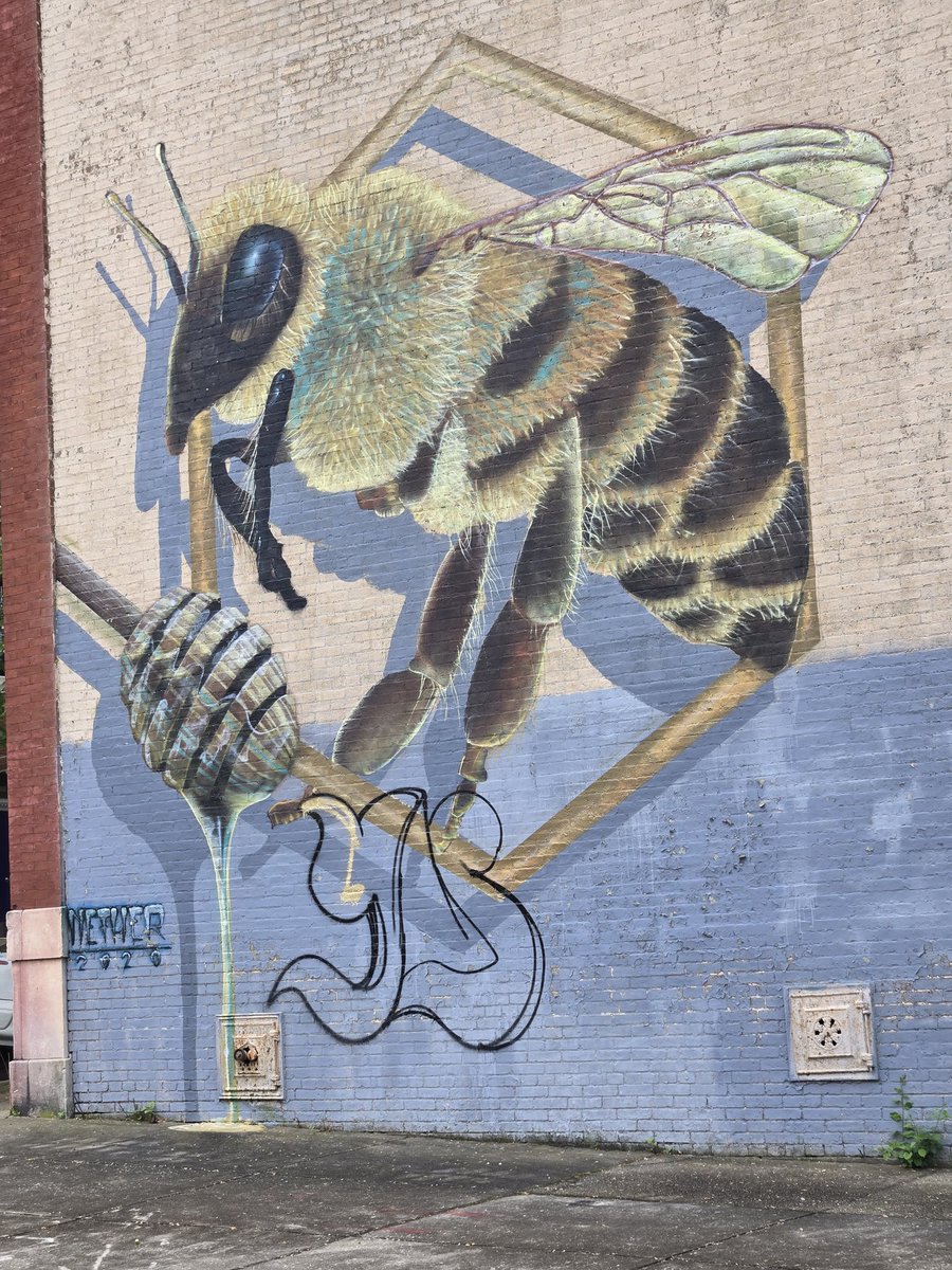 There used to be a code. But I see 1 graffiti painter defacing murals around Baltimore. Not cool. Streets is watchin. YA$ = NO