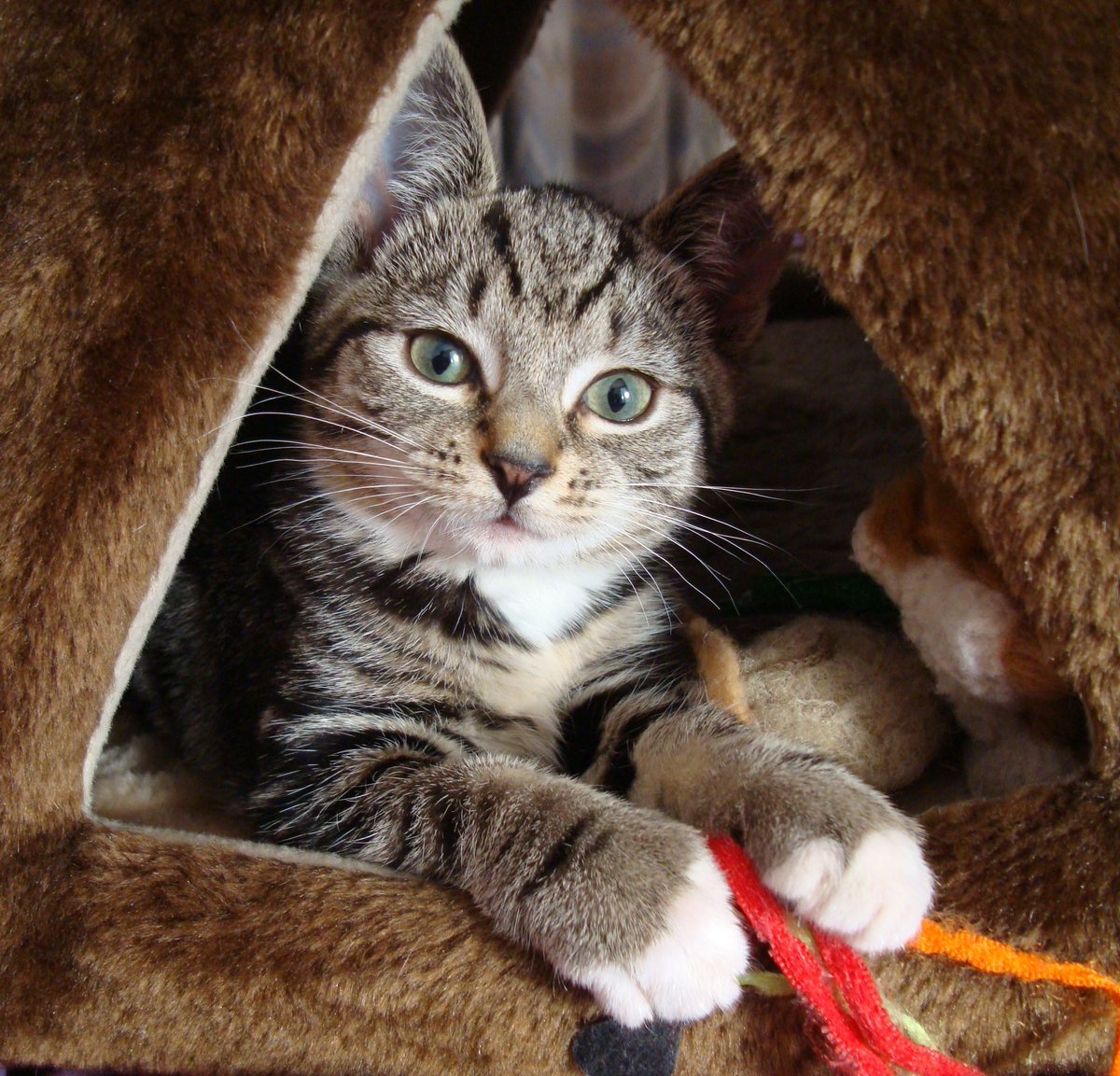 Pam Martin tweet media