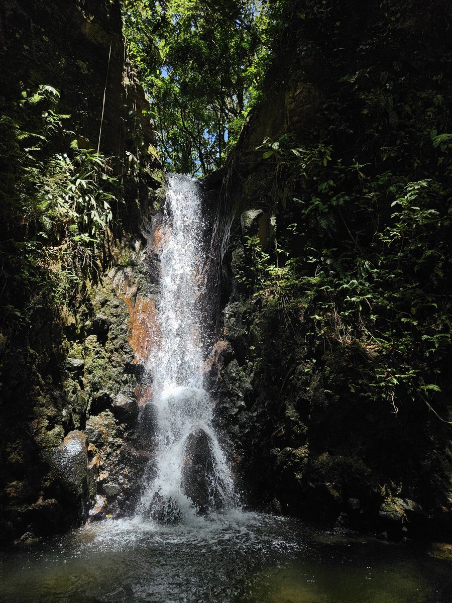 Thanks OTS for a truly amazing semester studying tropical biology in Costa Rica! It's been an incredible experience, and I'm excited to apply all the skills I've learned here to my research
