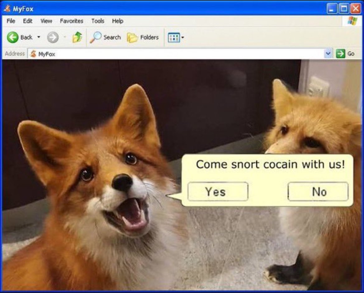 bzdziungwo's tweet image. 