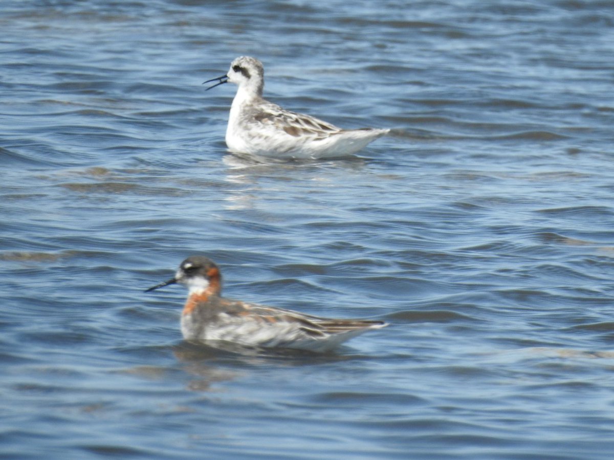 Gary Stones tweet media