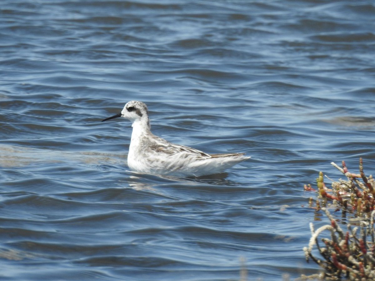 Gary Stones tweet media