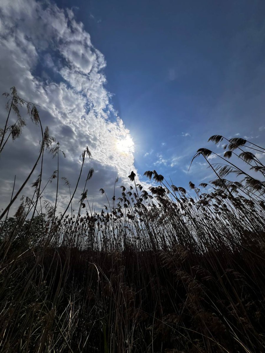 Bl1s6CBuvGxt2I7's tweet image. You can stand in the shadows and still face the light.
The sky doesn’t care where you’ve been.

#philosophicalthoughts #lightanddarkness #existentialvibes #visualpoetry #UkraineNature #deepnature #cloudscape #natureandmind #aestheticdepth #shadowplay #wildbeauty #meaningfulmoment