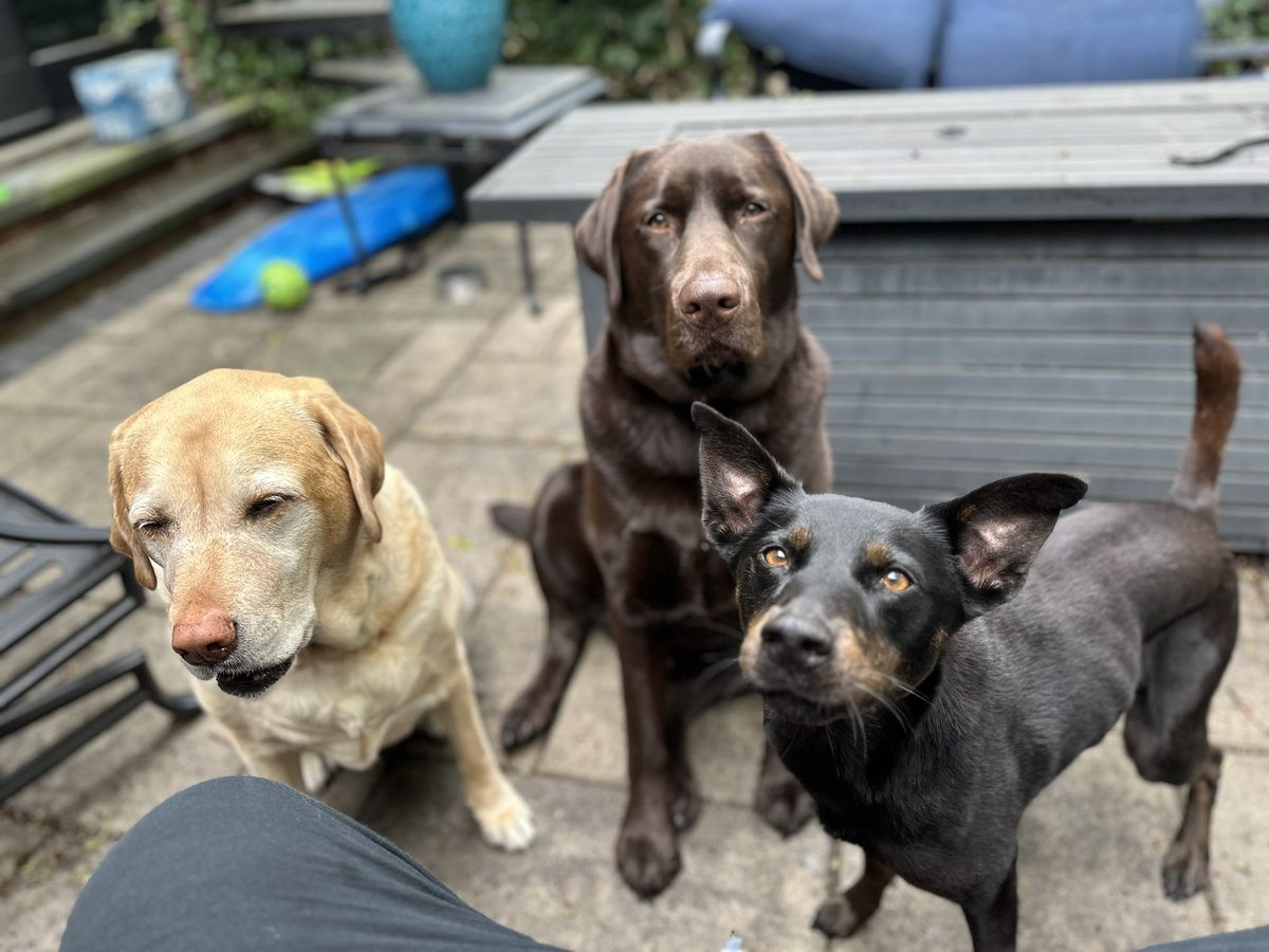 Mark Perry tweet media