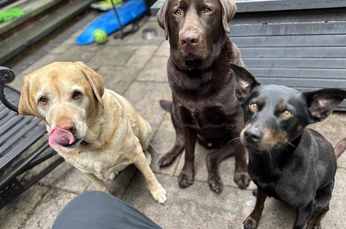 Mark Perry tweet media