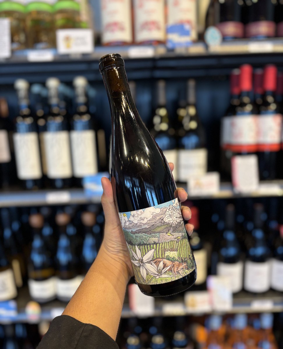 Kindred_SW's tweet image. From the heart of the Dundee Hills to your glass — pure, vibrant, alive.
Kelly Fox Pinot Noir Mirabai.🍷

#kellyfoxPN #PinotNoir #kindredspiritsandwine