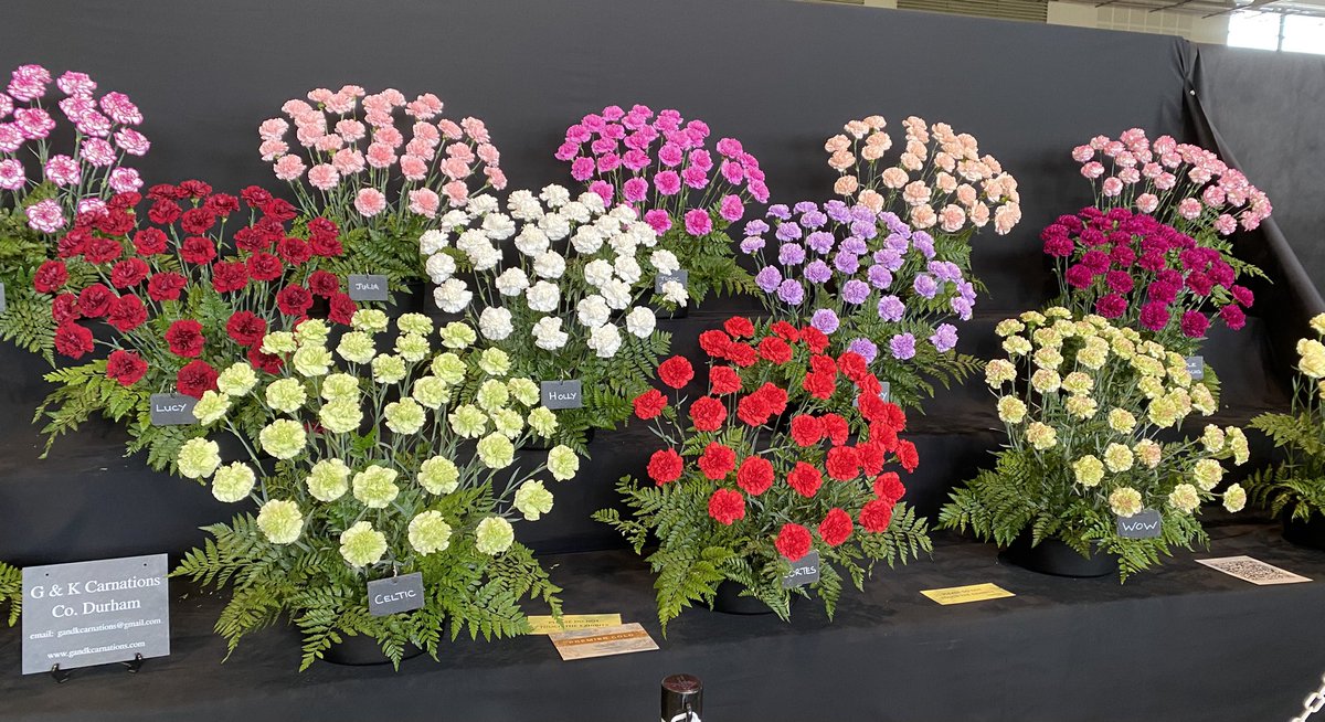 Fabulous day with lovely pals at <a href="/HarrogateFlower/">HarrogateFlowerShow</a> Pooped now!