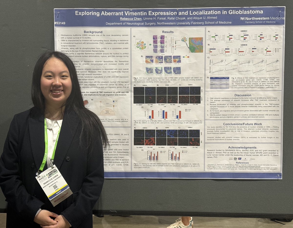Umme H. Faisal, MBBS (@stethospeaks) on Twitter photo Rebecca Chen, <a href="/AhmedlabNW/">Ahmed Lab @ Northwestern</a> and <a href="/NorthwesternU/">Northwestern</a> undergrad student, at the #AACR2025! 🌟
<a href="/BrainTumorInst/">Malnati Brain Tumor Institute at Northwestern</a> <a href="/NeurosurgeryNM/">Neurosurgery at NM</a> <a href="/atiqueahmedphd/">Atique Ahmed, PhD</a> Rebecca Chen, <a href="/AhmedlabNW/">Ahmed Lab @ Northwestern</a> and <a href="/NorthwesternU/">Northwestern</a> undergrad student, at the #AACR2025! 🌟
<a href="/BrainTumorInst/">Malnati Brain Tumor Institute at Northwestern</a> <a href="/NeurosurgeryNM/">Neurosurgery at NM</a> <a href="/atiqueahmedphd/">Atique Ahmed, PhD</a>